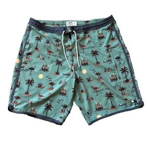 JETTY Shorts Men's 38 Board Swim Trunks Atlantic Mint Boardshort Recycled